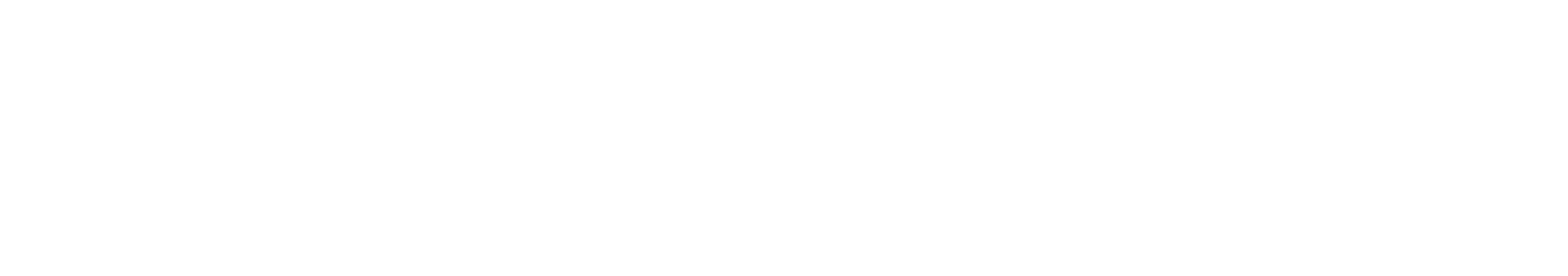 Partnerbalk-TeamNL-wit_NLO